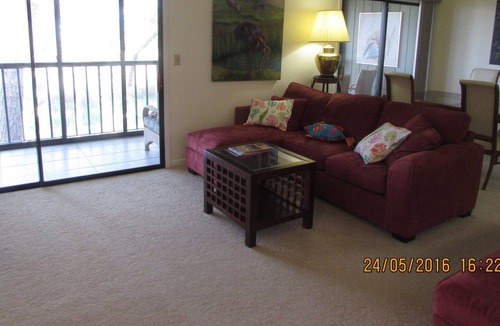Saint Augustine Shores Condo | Conquistador Wetlands, Panorama Views, Eagles, Herons, Ibises;.....peaceful
