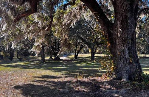 Waldo Cottage | Cozy 1-bedroom cottage in recreation Paradise and within minutes to airport