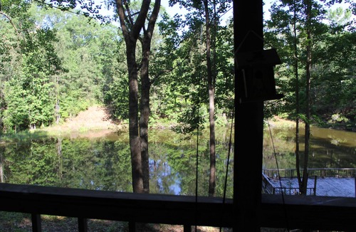 Jack Cabin | Cozy 2 bedroom Cabin on 5 acres with pond view.