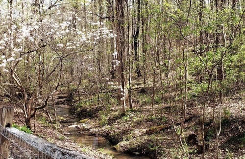 Pine Mountain Valley Cabin | Cozy Cabin near Callaway Gardens