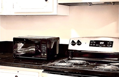 Downtown Apartment | Cozy, comfy, pet friendly downtown apartment.