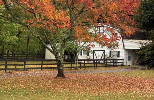 Saks Apartment | Cozy country stay centrally located to entertainment, adventure and good food!