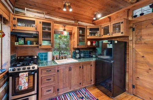 Eureka Springs Cabin | 🐠COZY LAKEVIEW CABIN🌲 - Jetted Tub, Fireplace, WiFi + 3 miles to Dwtn Eureka