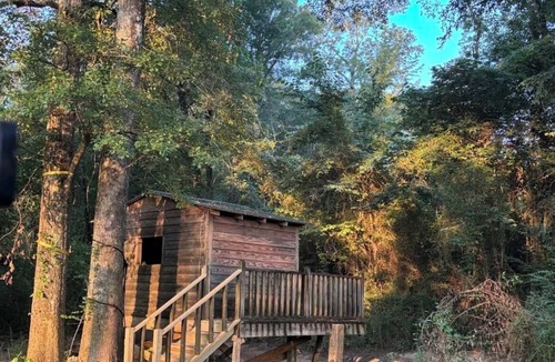 Samantha Cabin | Cozy private 1-bedroom cabin in peaceful Northport with AC