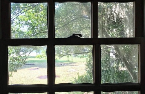 Umatilla Cottage | Cozy & Quaint! The Little Cottage for Big Hearts. A peaceful getaway in Florida!