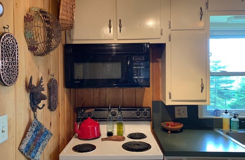 Blaney Park Cottage | Cute As A Bug Cottage On The Shores of Big Manistique Lake