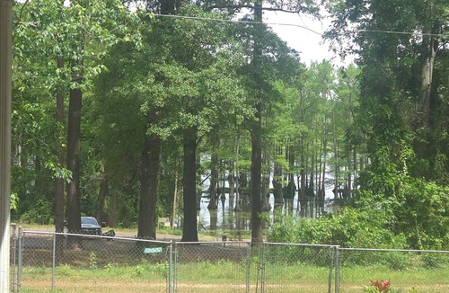 Alleene House | Directly In Front Of Boat Ramp At Jack's Isle, Millwood Lake