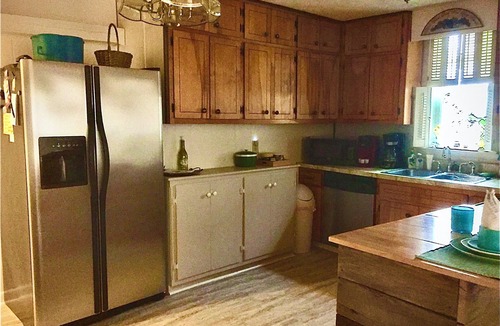 Blue Ridge House | Downtown in this cozy pet and family friendly mid century cottage