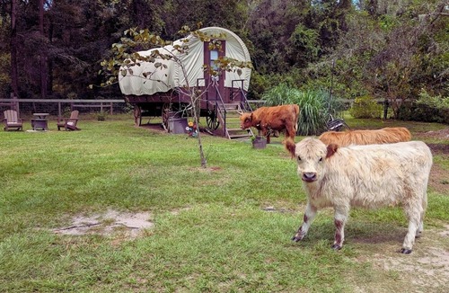 Putnam Hall Apartment | Dreamy Covered Wagon Farm Experience