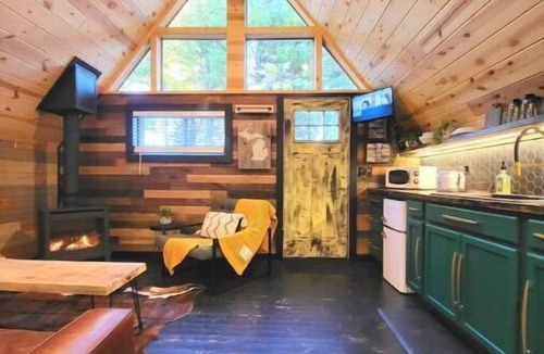 Indian River Cabin | Eagles Nest A-frame: Riverfront Cabin: Add-on Treehouse Bedroom, Pet Friendly!