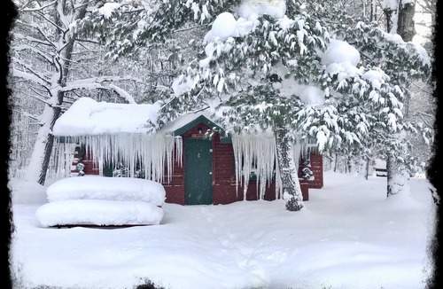 Grawn Cabin | Ellis Lake Resort - Birch Log Cabin-Interlochen/Traverse City