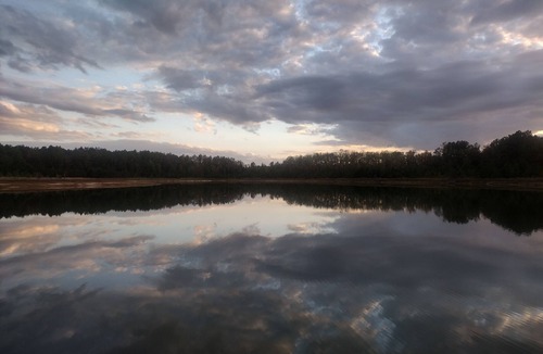 Escambia County Cabin | Escambia Lakes Fish Camp, Goat Refuge, Duck Utopia, Farms on 75 wild acres