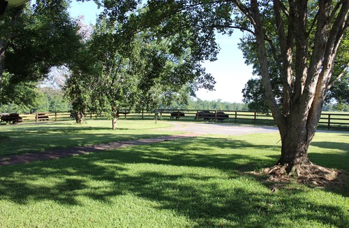 Pittsview House | Farmhouse on Beautiful Bison Farm