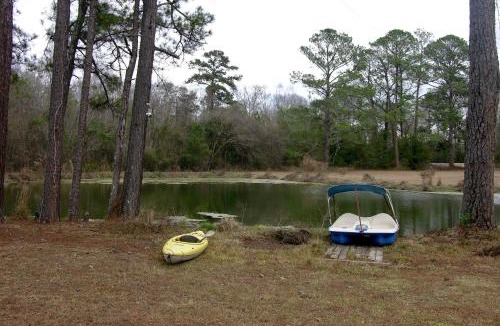 Rupert House | Flint River Home w/Private Pond & Game Room!
