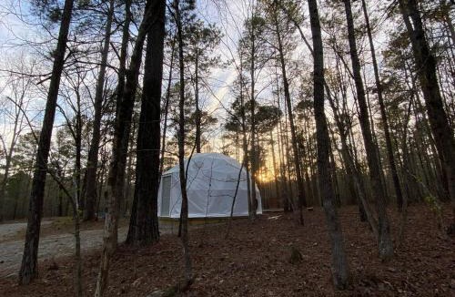 Eatonton Other | Forest Dome Near Lake Oconee Artistic Design