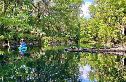 Mayo Cabin | Friendly's river retreat #1 cozy couples cabin in awesome Mayo with WiFi,