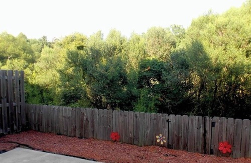 Grovetown House | Gorgeous Home in Augusta, Ga