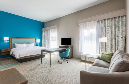 Mary Esther Hotel | Hampton Inn & Suites Mary Esther-Fort Walton Beach 1 King Studio Suite Hearing Accessible