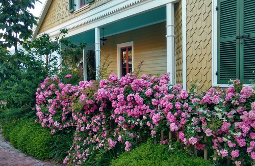 Old Town House | Historic charm and secret gardens. Central location. Bay St. Louis, MS