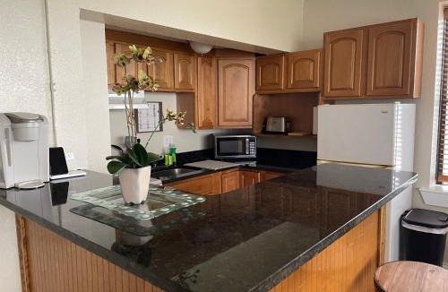 Downtown Jacksonville Apartment | Historic Heart of Downtown Jax
