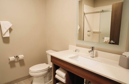 Shannon Hotel | Holiday Inn Express & Suites McCalla - Birmingham West by IHG
