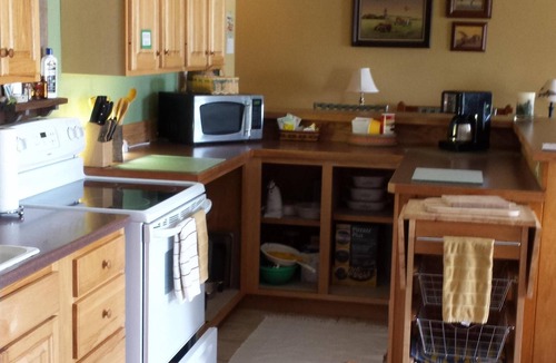 Central Lake Cottage | Intermediate Lake in Central Lake, Mi, Critts Cove Cottage Great News open!