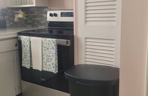 Montgomery Apartment | King Cloverdale Apt. w/Laundry/Smart TV/Wi-Fi