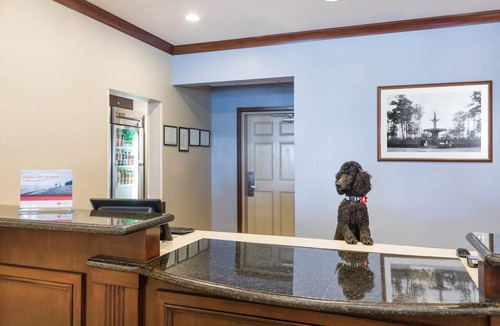 Historic District - North Apartment | King Studio w/Atrium View | Gym + Free Breakfast