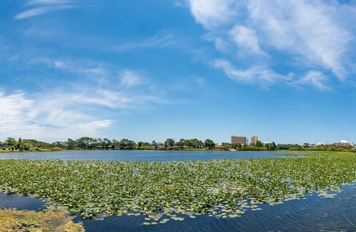 El Centro Beach House | Lakefront townhome near great attractions with beach access pool & amazing view