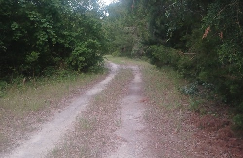 Branford RV Rental | Lakeside 32’ RV Retreat Near Ichetucknee Springs : Kayak, Yoga, Nature