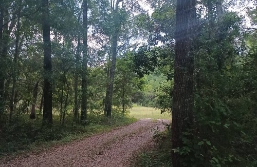 Branford RV Rental | Lakeside 32’ RV Retreat Near Ichetucknee Springs : Kayak, Yoga, Nature