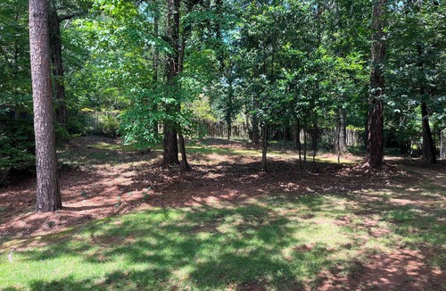 Meadowbrook House | Large comfortable house, close to everything. Single Family Only
