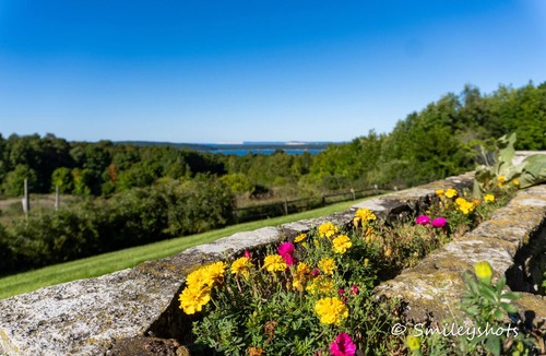 Frankfort House | Large Historic Home with views of Crystal Lake & Lake Michigan