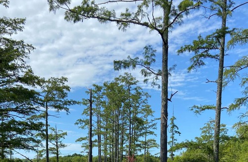 Sturgis Cabin | Minutes from Starkville, Louisville, Sturgis
