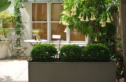 Audubon Cottage | Nola Cottage - Safe, Convenient Area/Sleeps 3/Brand New Bath/Walk To Tulane