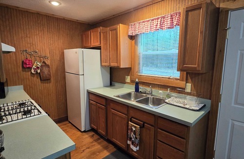 Indian River Cabin | Oak Haven Cottage Secluded & Rustic near Burt Lake Sleeps 6
