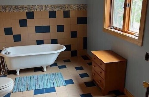 Manistee Cabin | Off Grid, Solar Powered Cabin on 33 Acres near Big and Little Manistee River!