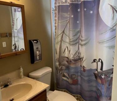 Cadillac House | Peaceful and Pet-Friendly Lake Mitchell Cabin For an Exciting Escape by the Heart of the Manistee National Forest, Michigan