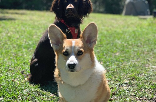 St. Augustine House | Peaceful, nature-vibes getaway minutes to St Augustine. Small-dog friendly!