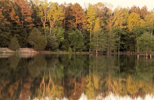 Hattieville Cabin | Private Lakefront Cabin for Fishing, Relaxation and Outdoor Recreation