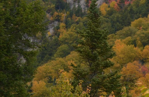 Hattieville Cabin | Private Lakefront Cabin for Fishing, Relaxation and Outdoor Recreation