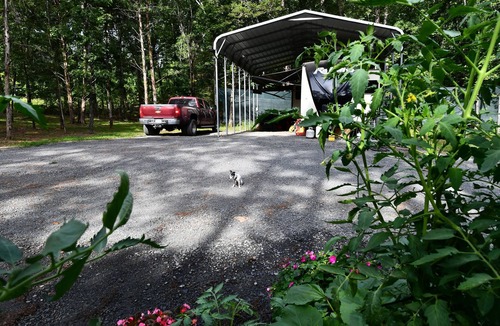 Clinton RV Rental | Private Ozark Mountain Retreat RV Lot for Rent!