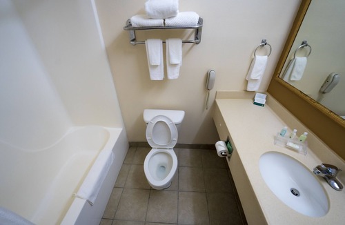 Mexia Hotel | Quality Inn & Suites Monroeville South