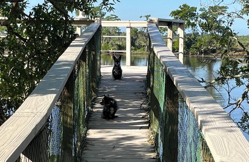 Pearlington House | Quiet Waterfront camp15 minutes from Bay St. Louis. EXCELLENT family Reunions!