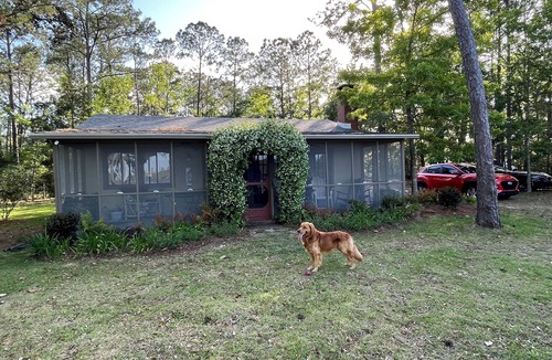 Foley Cabin | Redfish Retreat-cabin w large boathouse - 2 acres on magnificent Magnolia River!