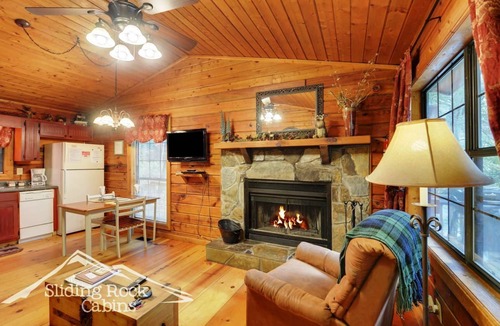 Ellijay Cabin | River's Reach! rustic, hot tub, king bd, fenced yard-pet friendly. ADULT ONLY