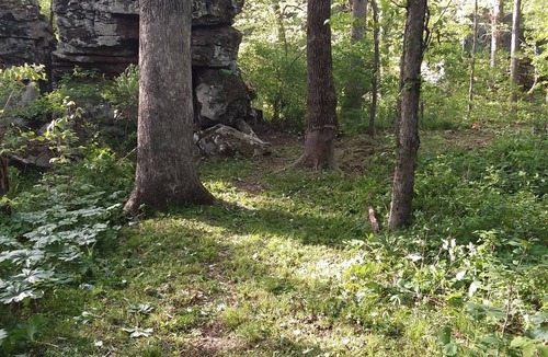 Prairie Grove House | Riverfront Camper
