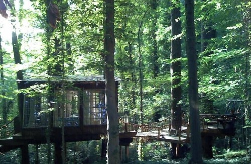 Colonial Homes House | Secluded Intown Treehouse