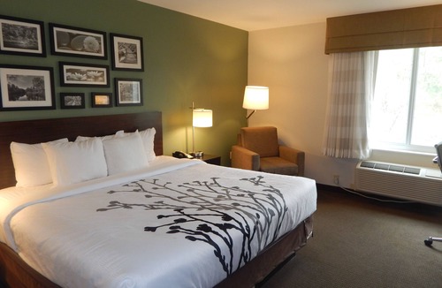 Evergreen Hotel | Sleep Inn & Suites Evergreen I-65