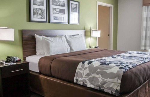 Gulfport Hotel | Sleep Inn & Suites Gulfport